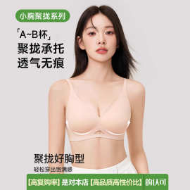 SecretWolrd粉底液内衣女薄款无痕小胸聚拢隐形文胸无钢圈文胸夏