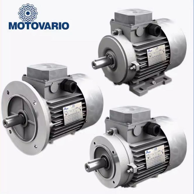 意大利MOTOVARIO三相异步电动机，T90S-4铝合金耐高温电机