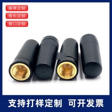 2.4G WIFI �{������С�z���쾀С�ߴ�3CM�z���쾀SMAȫ�������쾀