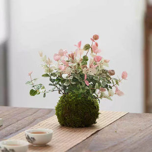 Flower Leaf Stone Moss Ball Potted Hydroponic Plant Indoor Flower Air Purification Desktop Green Plant Hanging Orchid Climbing Vine