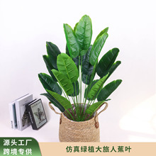 �^�z�~���˽����W�L����Gֲ�����B�͏d��������辰�b٘����l