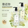 持久留香控油小苍兰洗头膏