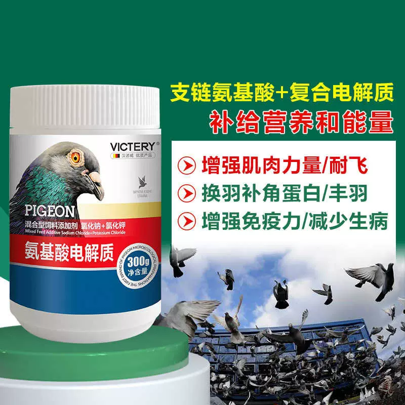 电解质鸽药止渴补能量氨基酸强肌肉丰满羽毛提升免疫力非鸽子药
