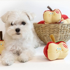 Ins-style Korean fruit series apple hiding snack foreign trade original single cute dog toy pet sound