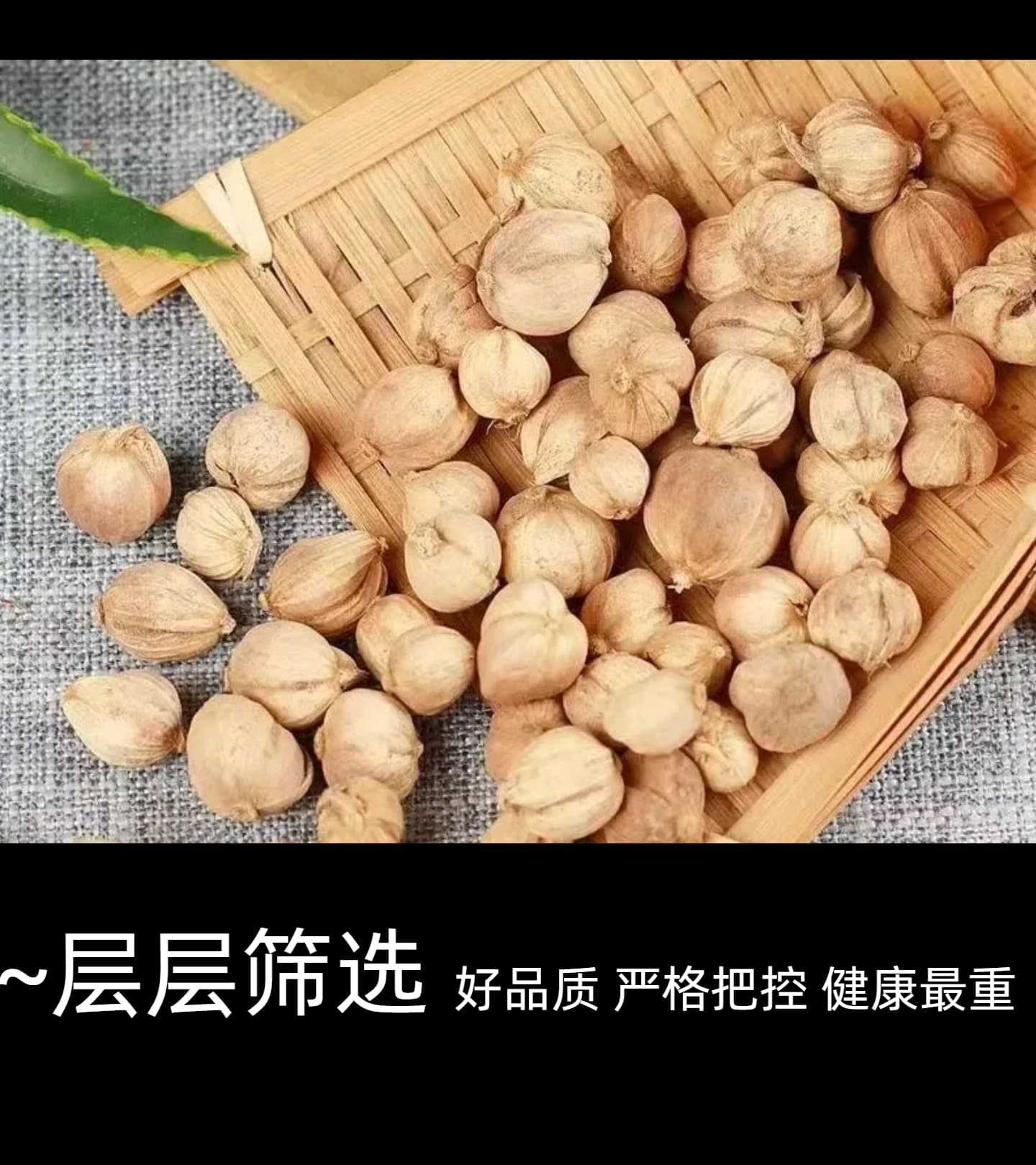 White Cardamom Bai Dou Kou 50g Dried Amomum Kravanh Fruit for Hot Pot Braising and Seasoning specifications