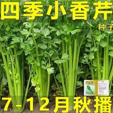 7-12¡ļС۷Nˮl˷N＾l߲˷NZ