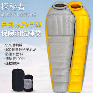 ̽������q˯��ľ����800����q���ˑ���¶�I�p����ͽ������