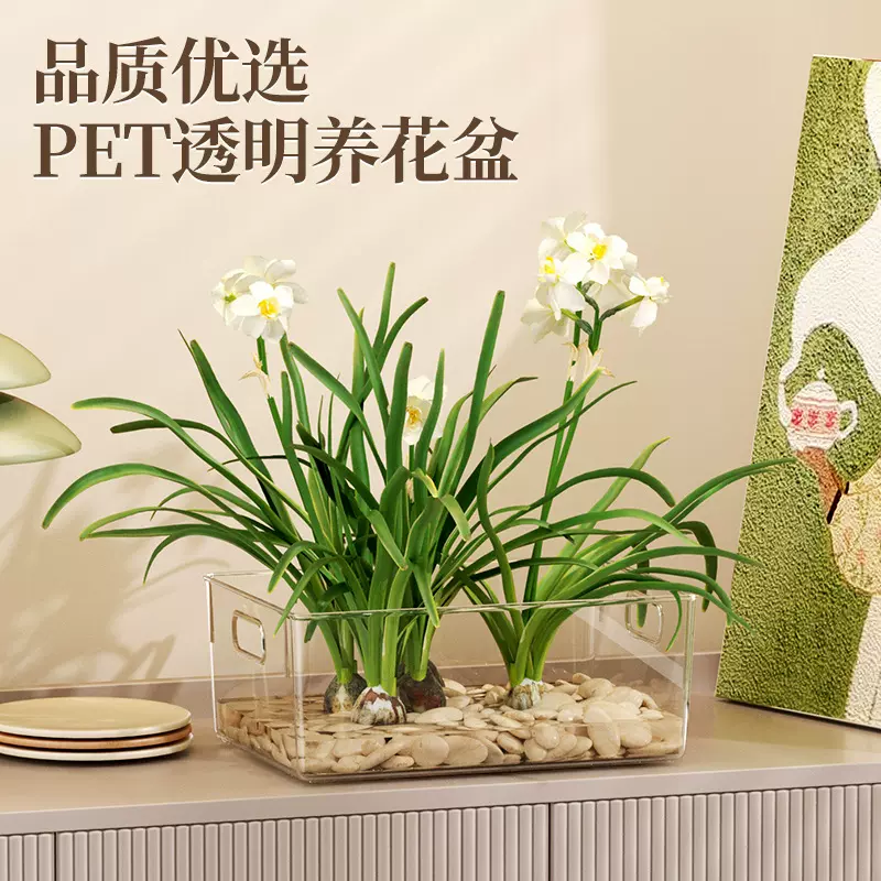简易花盆兰花种植可视根部带提手易清洗水培花店大容量盆栽培养盆