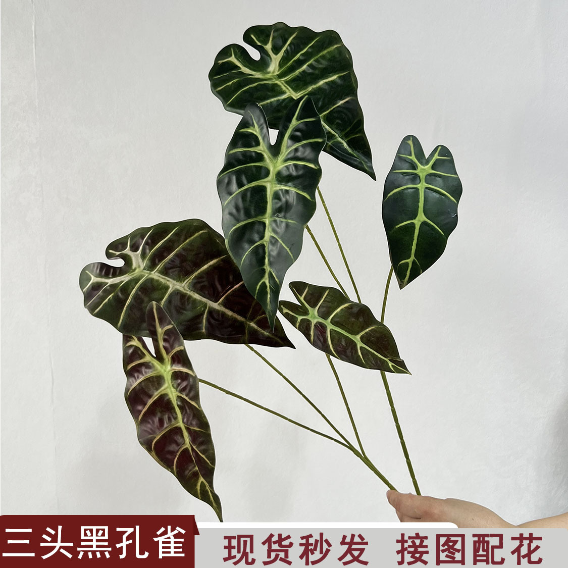 黑孔雀叶 仿真植物插花叶材家居装饰彩色芋头叶观音莲叶婚庆绿植