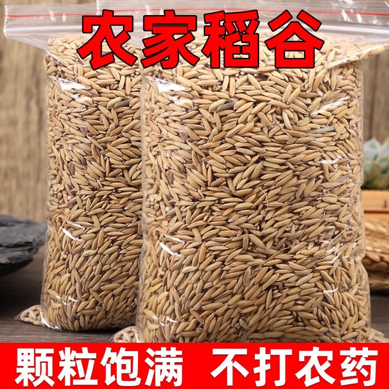 2025年稻谷带壳稻谷喂鸡鸭鸽粮饲料批发谷子水稻子喂鸡鸭鹅鸟杂粮