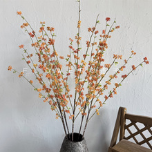 ��c��Y��С�����Ҿ��b�֦��˼�����滨insܛ�bܛ�z�����l