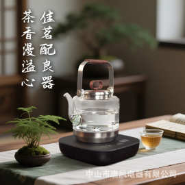 专用食品级电热水壶高端家用智能医用级烧水壶高档养生壶TF-2023L