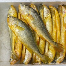 ��ɽ��Ұ�����S�~7-9������/�l   3�l1�ݿɻ���