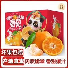 四川春见耙耙柑碰柑橘子非丑柑橘新鲜桔子非不知火粑粑柑整箱包邮