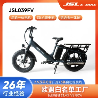 (仅供出口)20寸长尾电动自行车 双锂电池液晶显示液压碟刹胖