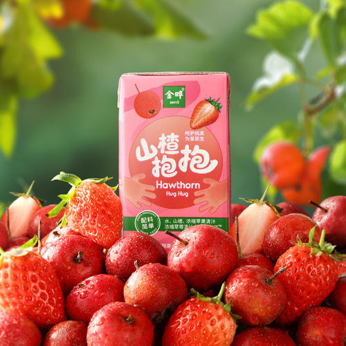 Jinye Honeysuckle Juice, Sweet and Sour, Delicious for Babies, No Added Artificial Flavors, Colors, or Preservatives