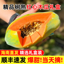 海南精品红心木瓜礼盒当季新鲜水果孕妇软甜多汁牛奶顺丰速发