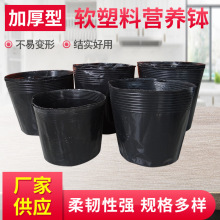 厂家供应园林家庭育苗加厚型黑色营养钵不易变形规格多样可定