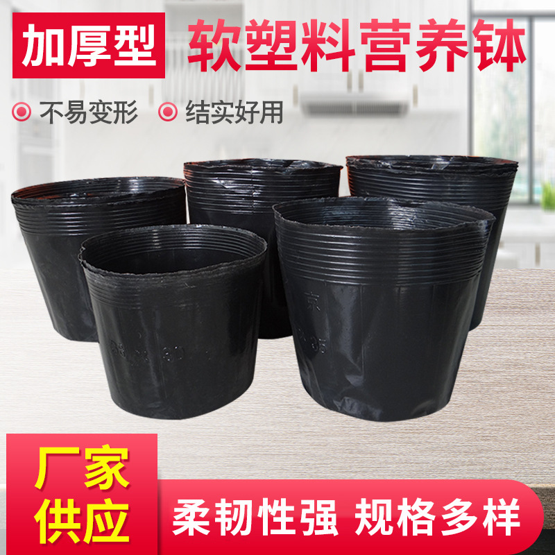 Manufacturers supply garden family seedling thickened black…