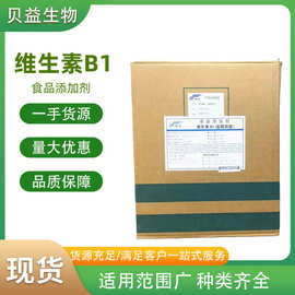 食品级 营养强化剂 维生素B1 盐酸硫胺 VB1 硫胺素 源头供应