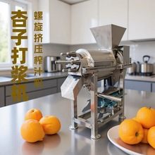 橄榄果挤压榨汁机压榨果汁饮料脱汁机 新鲜水果榨汁机
