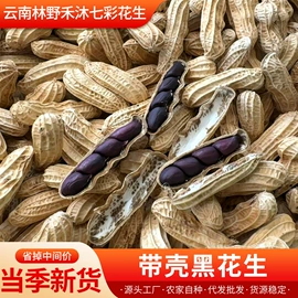 干果生货;服务商品;生花生