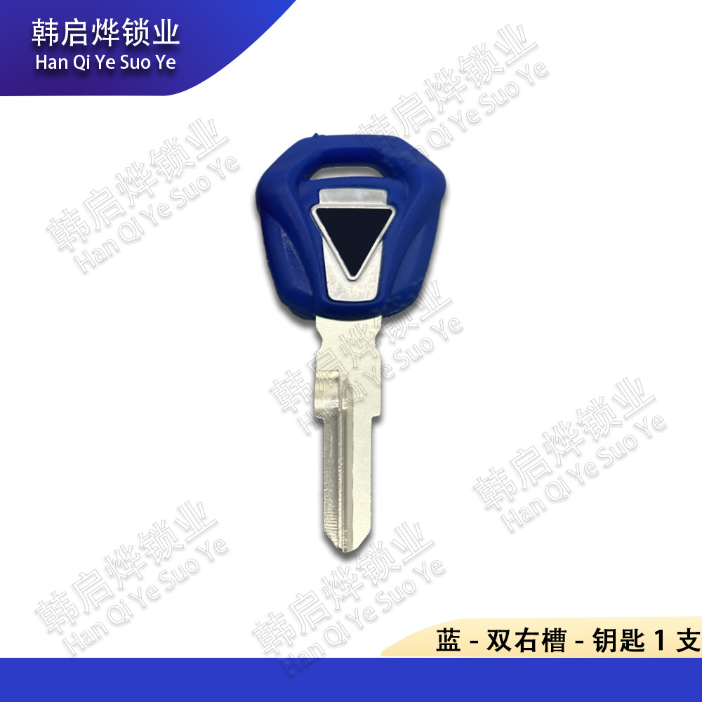 Suitable for Triumph Trident 660 Tiger 900 800 765S 765R 765Rs 675 Key Blanks