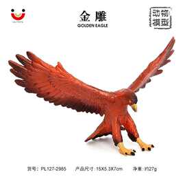 仿真飞鸟动物模型金雕金鹫展翅实心静态动物模型老鹰摆件儿童认知