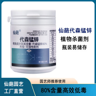 ����80%��ɭ�i�\���bֲ������~�߲��ڰ߲�˪ù���׸������ǲ�