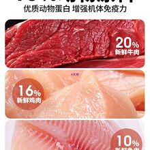 �r���r�����鹷�Zȫ�r�д���Ȯ߅����ë��Ȯ�Zͨ����Ȯ�Z