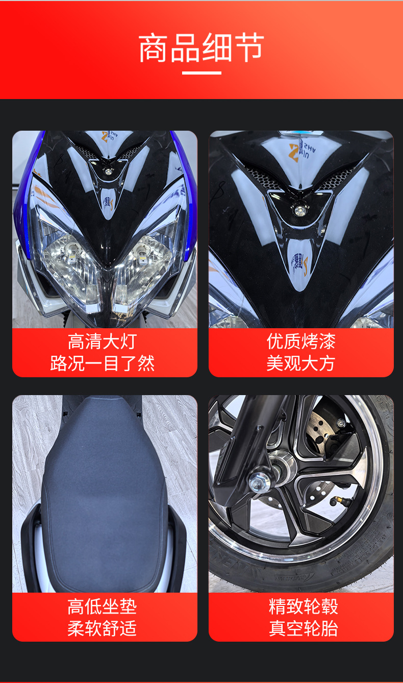 New Thunder King Electric Scooter Adult Pedal Electric Motorcycle