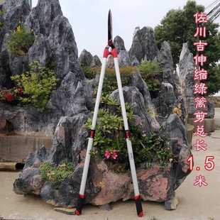 Sagawa long telescopic hedge shears fruit tree scissors pruning branches garden pruning shears gardening shears 1.5 meters long