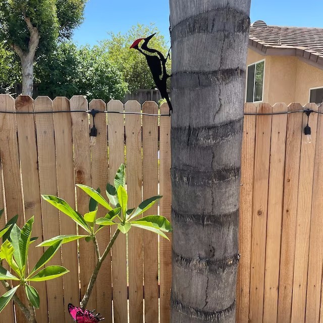 O1CN01bbLNSr1m07yD9hAY2_!!2213