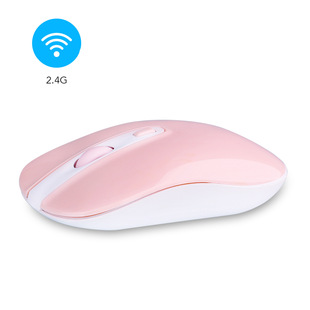 ���Sֱ�N2.4G/�{���ɳ���o���o����˶�ɫ�ɶ������w���̌W