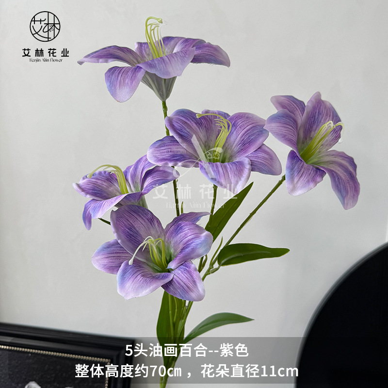 보라