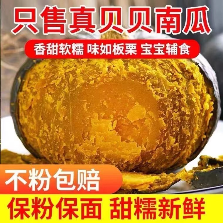 Authentic Guangdong Beibei Pumpkin, Chestnut, and Small Pumpkin, Fresh Baby Food Supplement, Soft and Sweet Vegetable Meal for Babies, Fitness Meal