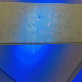 防伪商标;水印纸;证件单据防伪