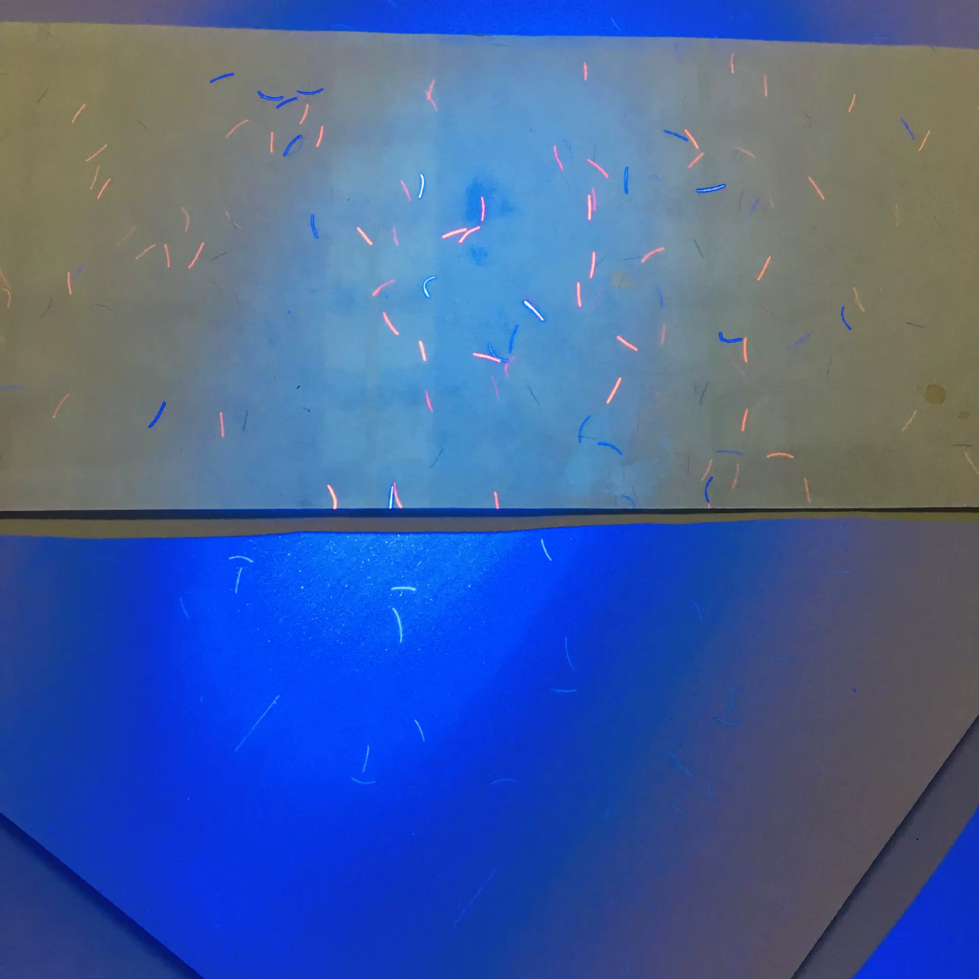 防伪纸 证券纸 水印纸 安全线纸 彩纤纸