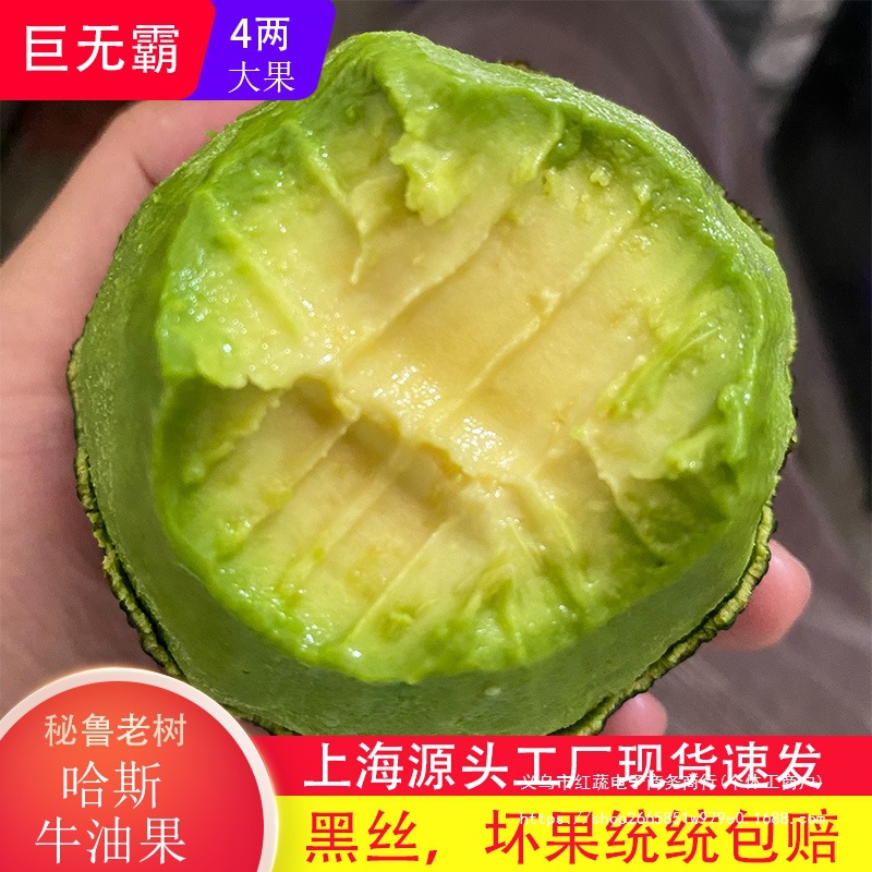 Avocado Large Fruit Fresh Fruit 15 Pieces Seasonal Ripe Ready-to-Eat Butter Fruit Baby Complementary Food Whole Box