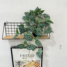 �����ָбڒ������~���҃��b��쾰�G�}�~��Gֲ���^ֲ���^�z�~