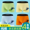 1001 Dolphin Style 4 Pack Category A