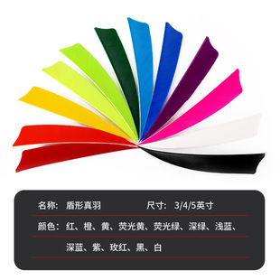 ���͹������� 4Ӣ�缃ɫ������ë���u���S��ֱ���羳���u12�N�ɫ