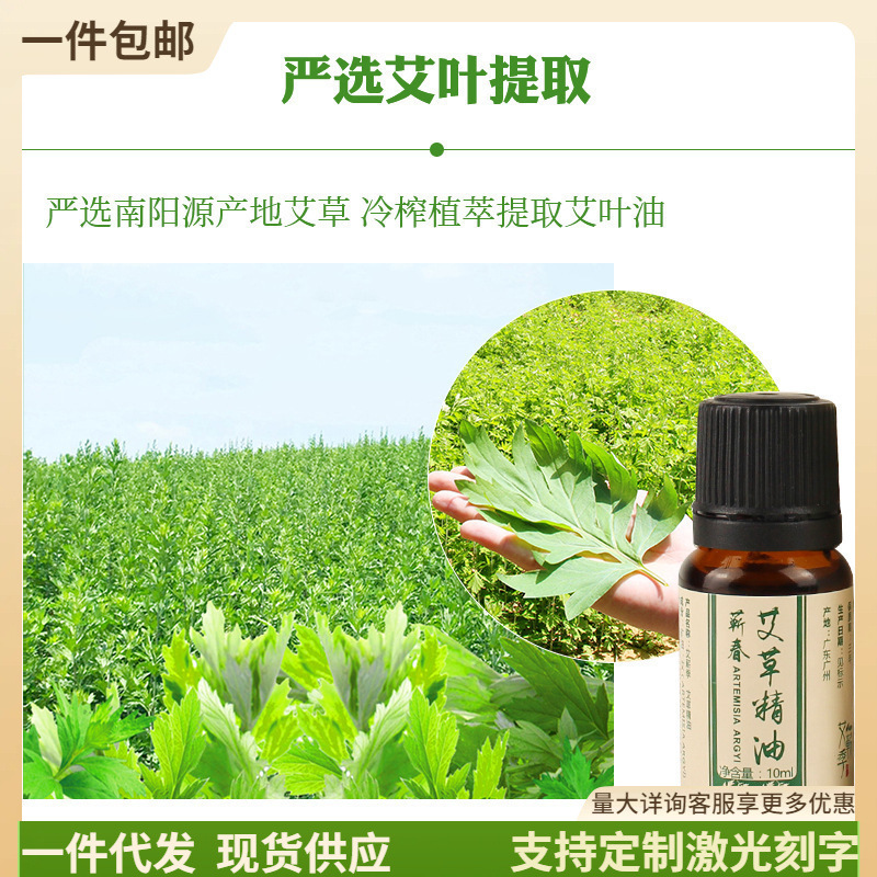 Artemisia argyi essential oil wholesale manufacturer direct supply 10ml body compound essential oil moisturizing massage shoulder and neck conditioning artemisia argyi essential oil