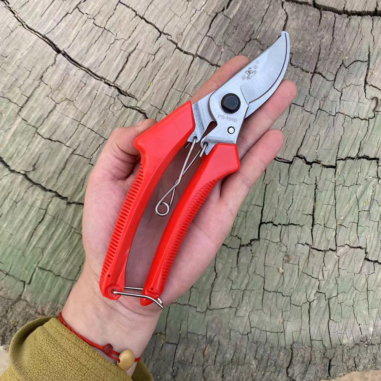 微信图片_20230314181220