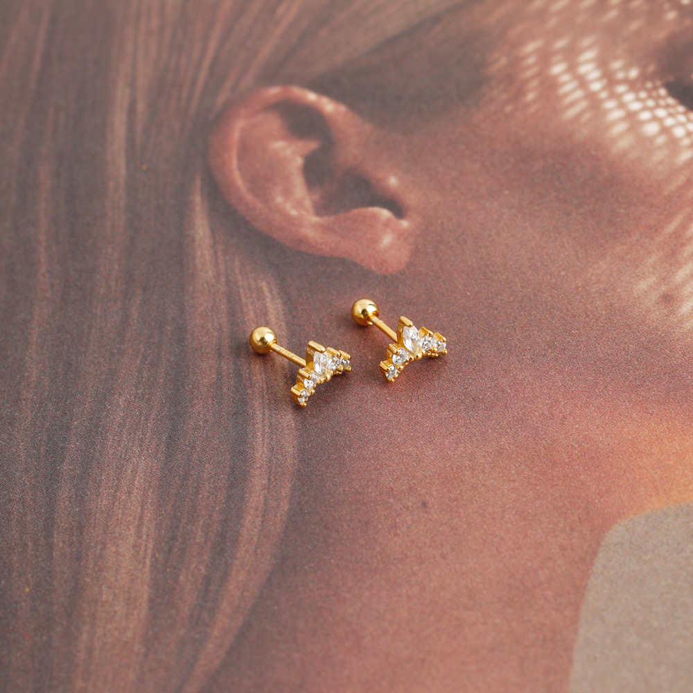 Fashion Crown Sterling Silver Inlay Zircon Ear Studs 1 Pair