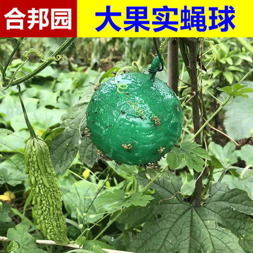 Bait Ball Fruit Tree Pest-Preventive Citrus Fruit Tree Insect-Attracting Ball Pest-Attracting Ball Pest-Preventive Ball Melon and Fruit Large Fruit Fly Bait Ball
