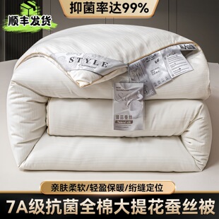 Tongxiang Origin Silk Quilt Class a Mulberry Silk Two-In-One Quilt Core Thickened for Winter Spring and Autumn Cotton Quilt for Wedding