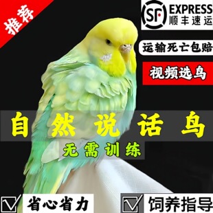 ���^��Ƥ�W�^���B���B�W�^��Ƥ�W�^���fԒ���W�^ĵ���W�^���L�W�^