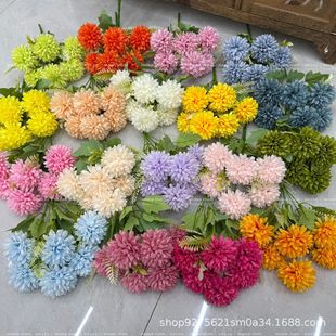 6�^������� ��ɫ�[��ƹ�Ҿ� �羳���Q���l�ٻ� �ҾӾƵ���ꐽ���
