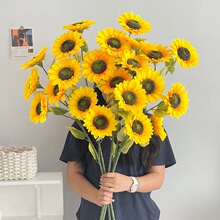 ��Ʒ�|���տ����ٻ��͏d�����[�O̫ꖻ������ɻ��b�ˇ�[��